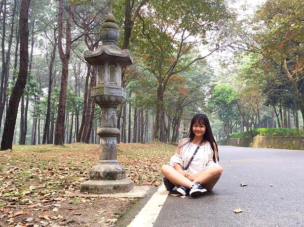 Japanese street in Ba Vi National Park
