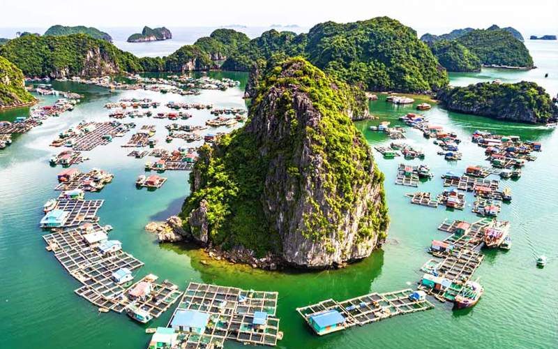 Vietnam Highlights Tour for Family in 10 Days