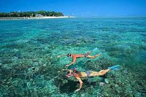 1 Day Tour Cu Lao Cham Island