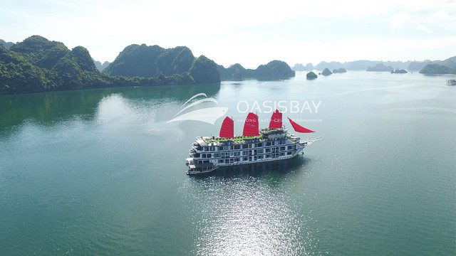 Oasis Bay Party cruise