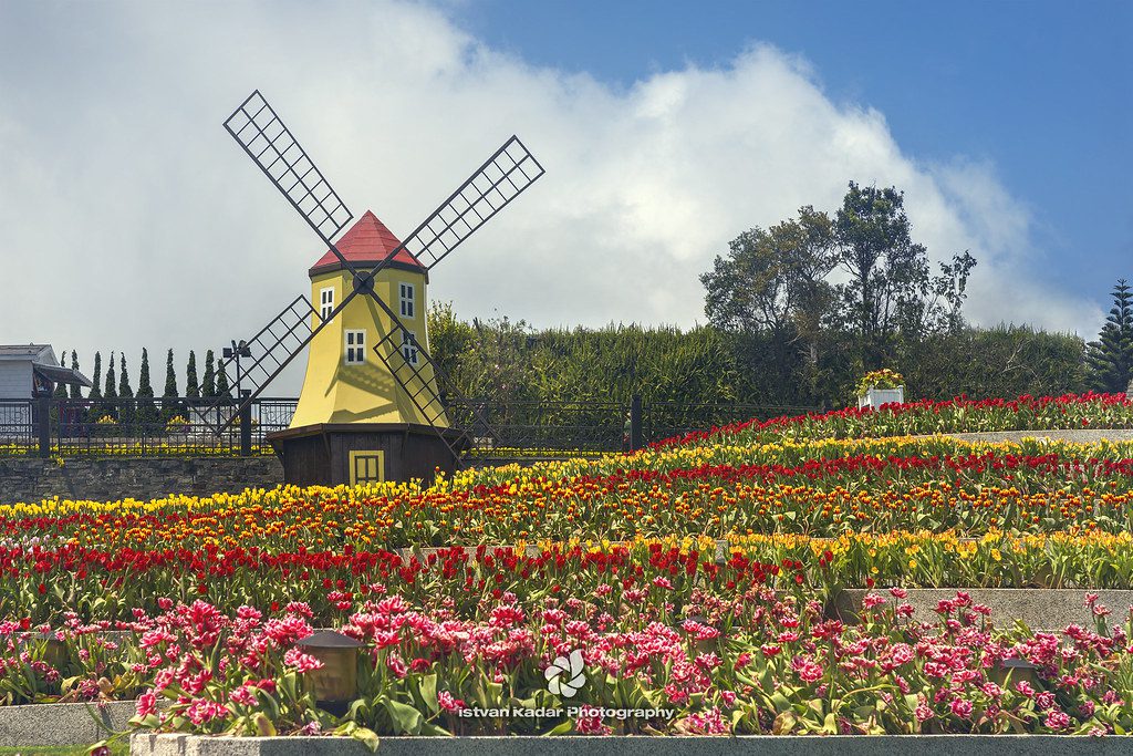 Ba Na Hills Mountain
