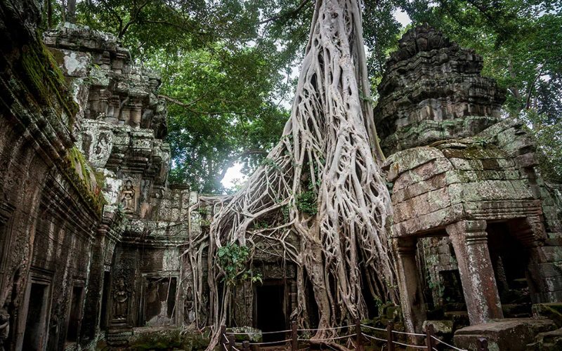 Amazing Cambodia in 15 Days Tour