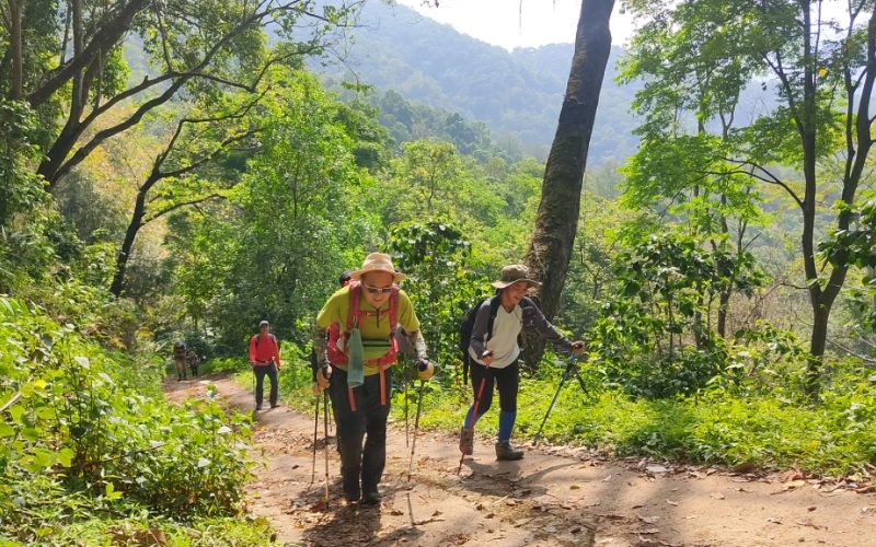 A hiking trail in Chiang Rai