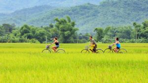 Biking in Mai Chau