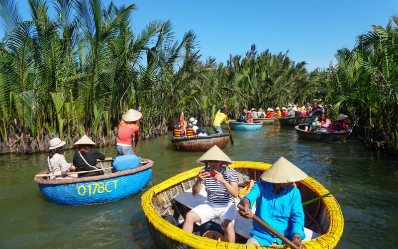 Bay Mau Coconut Forest