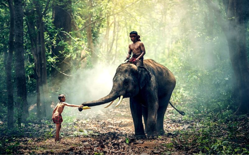 Laos Weather: When is the Best Time to Visit Laos?