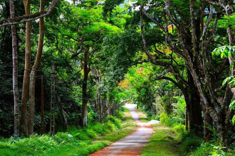 Cuc Phuong National Park