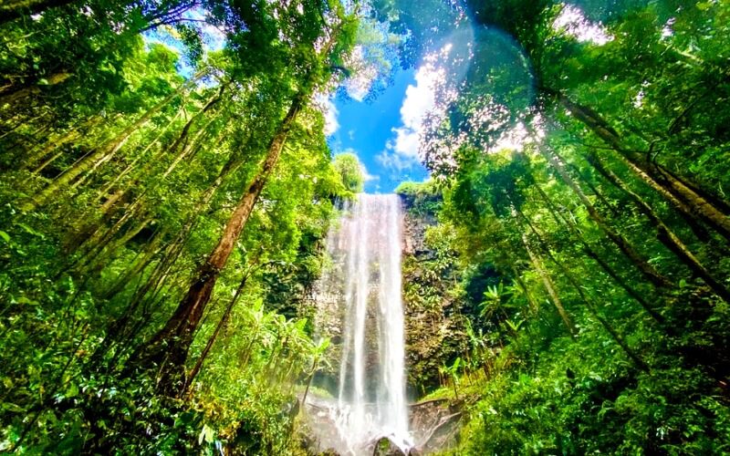 Discover the Magnificent Nature of Central Vietnam for 10 Days