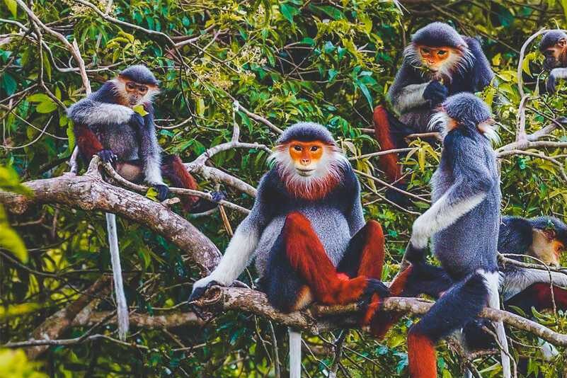 Nature Trekking Tour in Vietnam for 9 Days