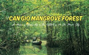 Can Gio Mangrove Forest in Ho Chi Minh City