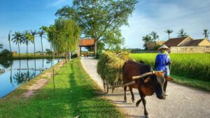 Duong Lam Acient Village