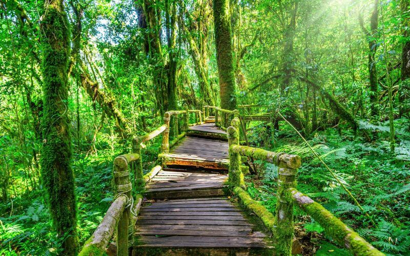 Doi Inthanon National Park