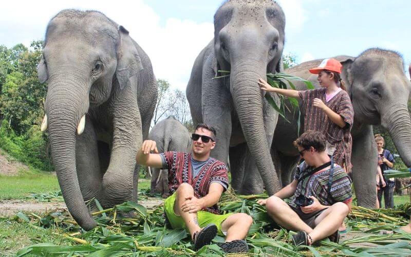 Elephant Jungle Sanctuary