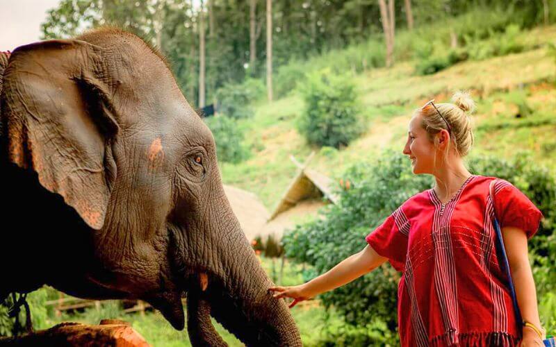 Eco Elephant Care