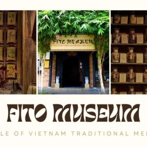FITO Museum - Discover the Miracle of Vietnam Traditional Medicine