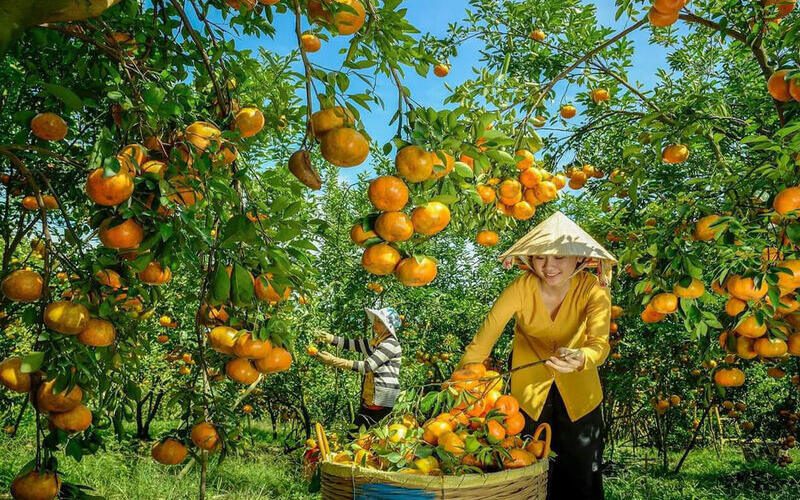 Mekong delta 2 days