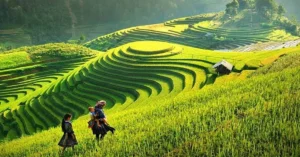 Hanoi - Sapa 2 Days 1 Night by Car