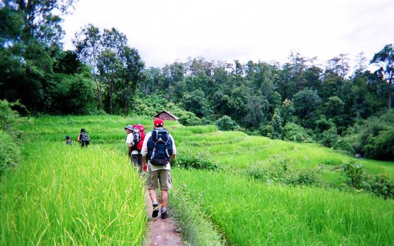 Hiking and Trekking Tour in Chiang Mai in 3 Days