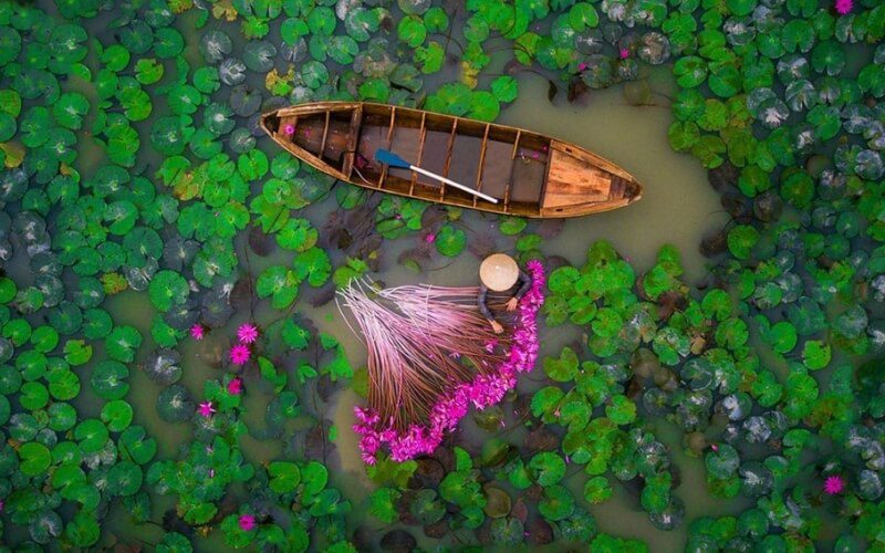 Discover Ho Chi Minh City and Mekong Delta in 3 Days