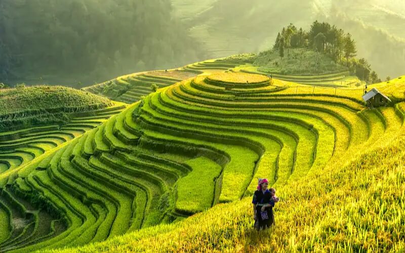 How to Spend 4 Days in Vietnam? Suggested Itineraries
