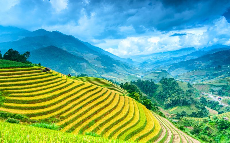 Essentials of Indochina in 14 days: Vietnam, Laos & Cambodia