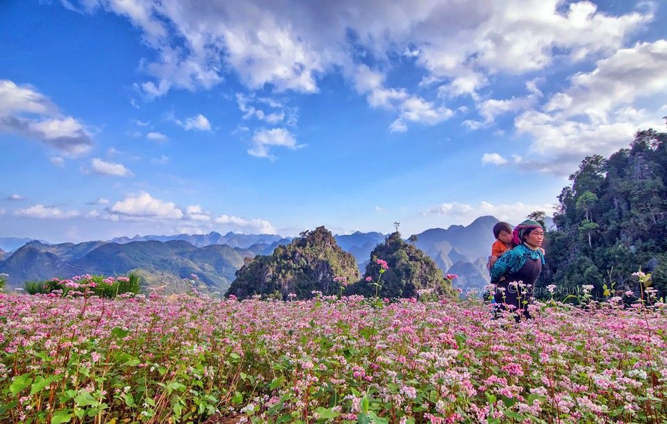 Incredible Panorama of Ha Giang 4 Days 3 Nights