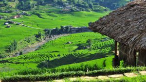 Lao Chai Village