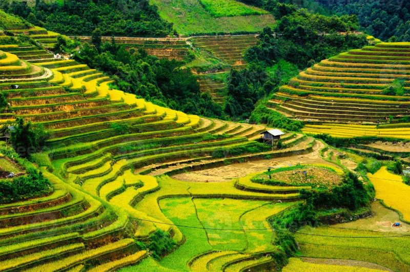 Northwest Vietnam Tour in 10 Days