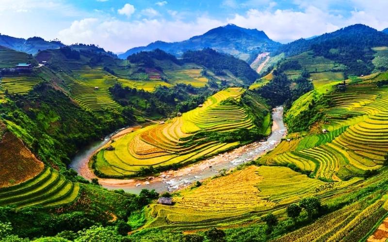 Mu Cang Chai’s Ripe Rice Season in 3 Days