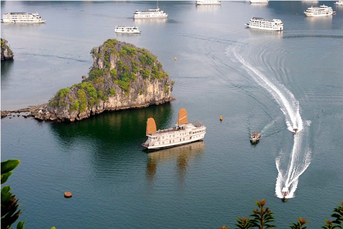 Majestic Cruise