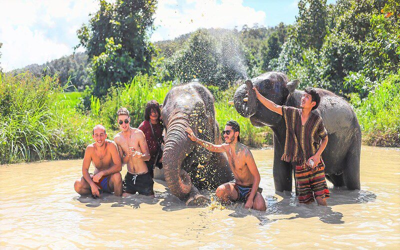 Visitors enjoying a mud bath with elephants at a sanctuary in Chiang Mai, surrounded by lush greenery and mountain views