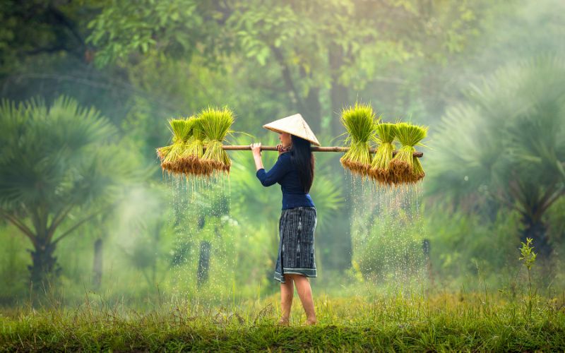 Discover the Minority Ethnic Groups of Northern Laos in 8 days