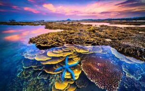 Places to visit in Central Vietnam