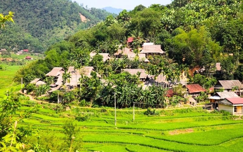 Trekking Pu Luong Nature Reserve 4 Days