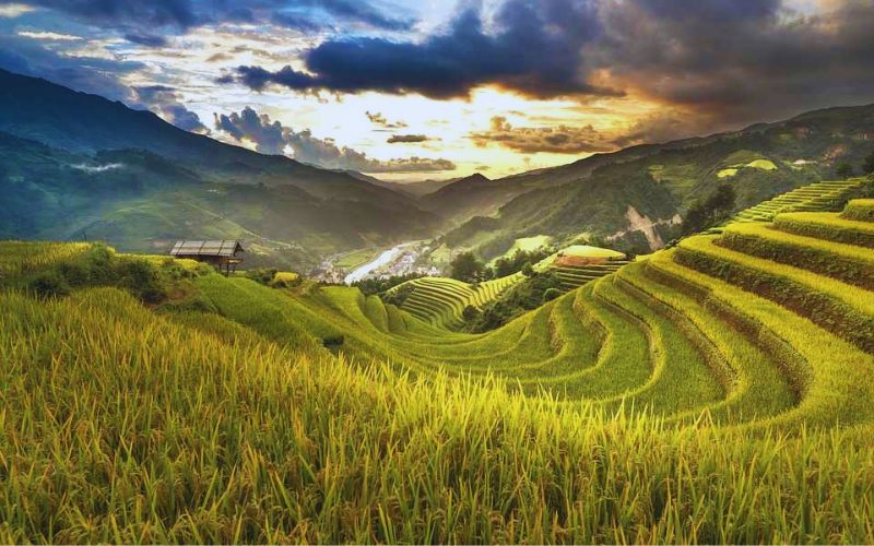 Panorama of Vietnam in 20 Days Tour