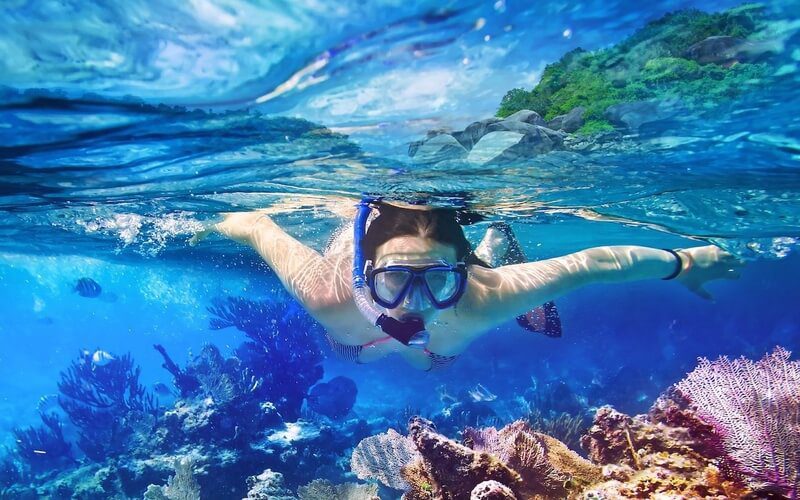 Snorkel in the clear blue waters of the Similan Islands