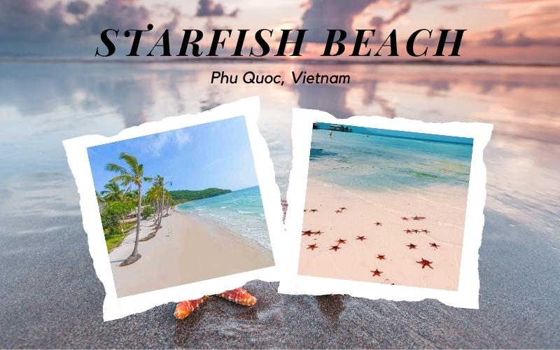 Starfish Beach in Phu Quoc - The Kingdom of Sea Stars in Vietnam