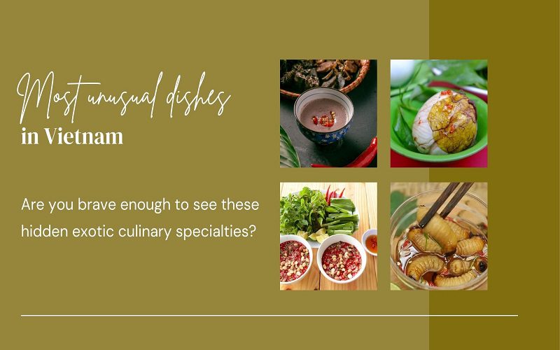Top 10 Unusual Vietnamese Foods that Challenge your Taste Buds