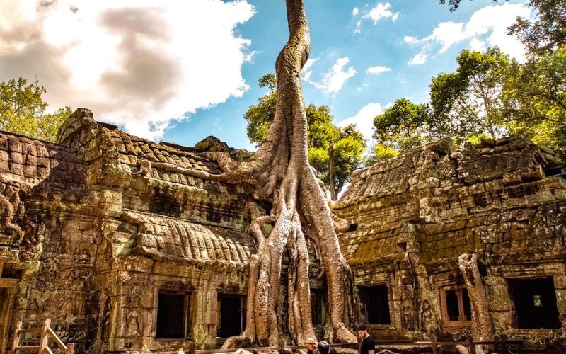 Ta Prohm