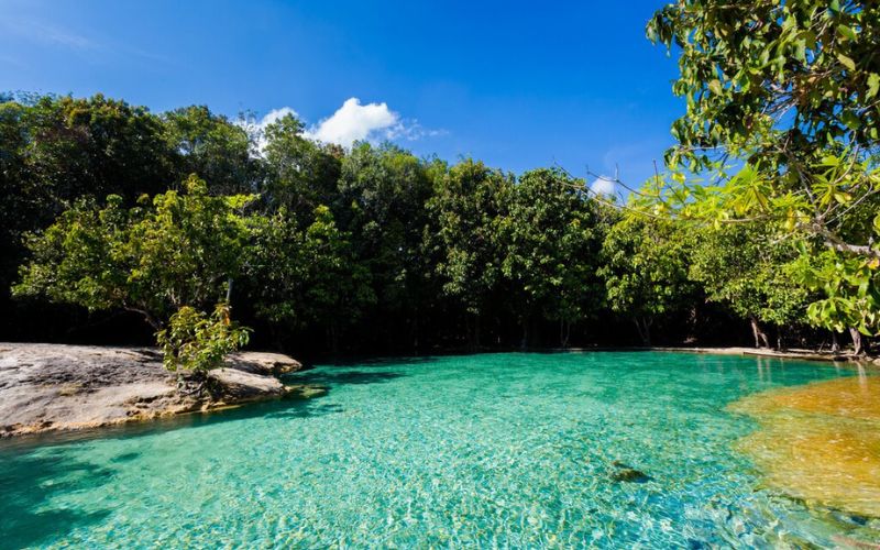 Thung Teao Forest Park