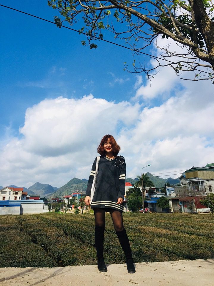 Haut plateau de Moc Chau - région de thé (après moi ce sont plein des plants de thé)