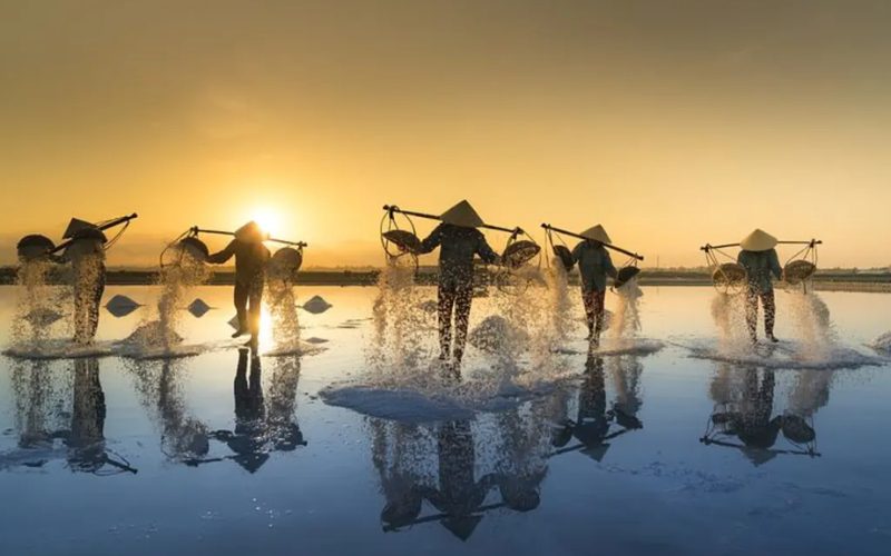 Classic Vietnam 21 Days from the Mountain to the Beach