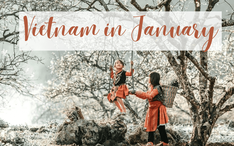 48150Vietnam in January: Weather and Best places to visit