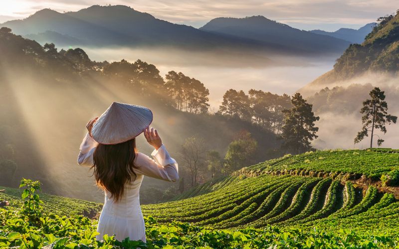 Vietnam in 12 Days: From Ho Chi Minh City to Hanoi