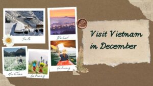 Visit Vietnam in December