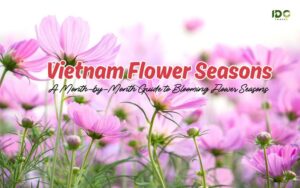 Vietnam flower seasons