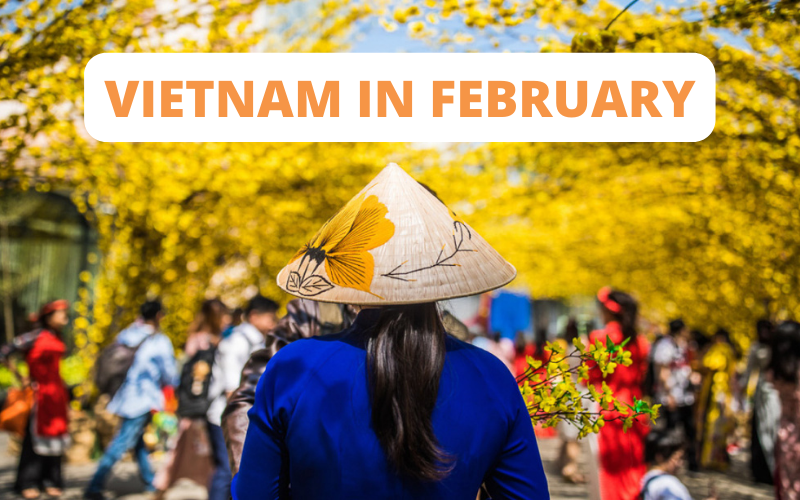 46907Vietnam in February: Weather and Best place to visit